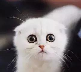 最新防晒霜推荐清爽不油腻好推开,什么防晒霜不油腻很好用防水防汗