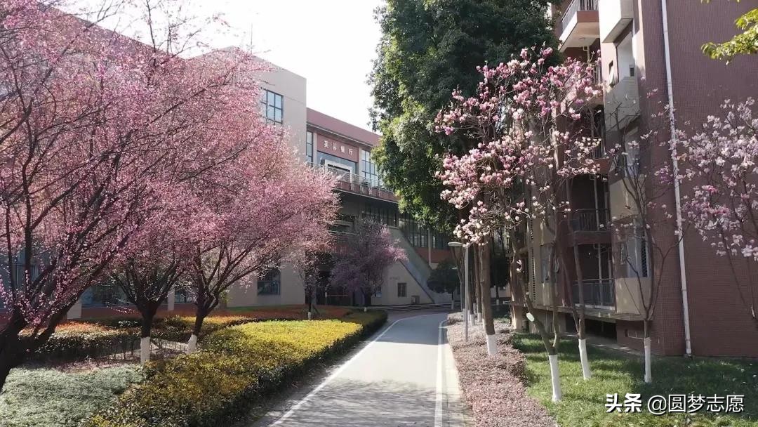 成都电子科技大学是干什么的,四川电子科技大学是什么级别