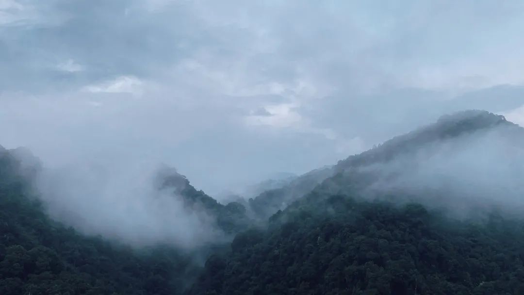 九九重阳望故乡,南昆山秋色