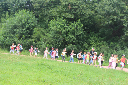 喂萌宠，捡鸡蛋，大自然里快乐多，精诚文化学校暑期班走进大自然