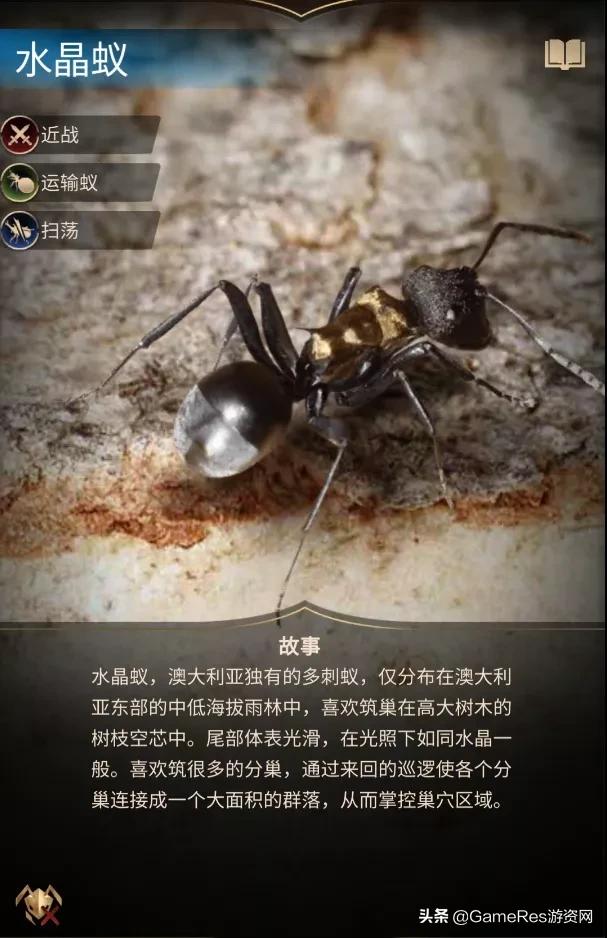 《小小蚁国》跻身8月出海收入榜，题材创新“卷”向动物领域？