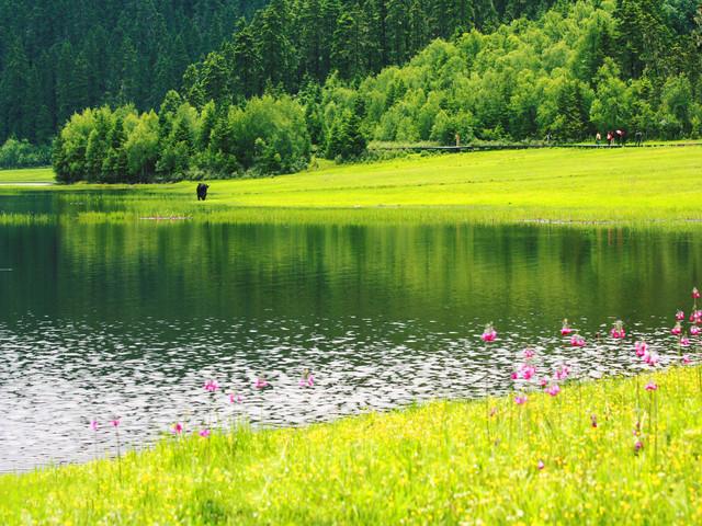 去云南旅游必去的十大景点推荐,云南旅游景点必去十大攻略