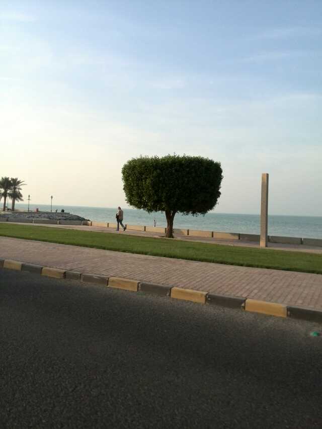 绉戝▉鐗圭湡瀹炵殑鐢熸椿,涓浗浜哄湪绉戝▉鐗圭殑鐪熷疄鐢熸椿