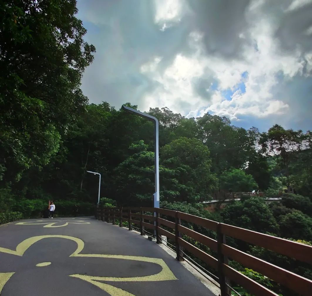 深圳天空之镜网红玻璃桥,深圳玻璃桥免费旅游攻略