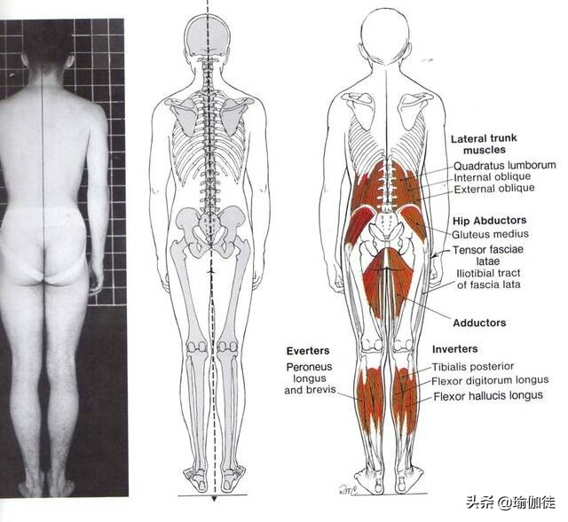 瑜伽山式的九个姿势,瑜伽山式姿势如何做