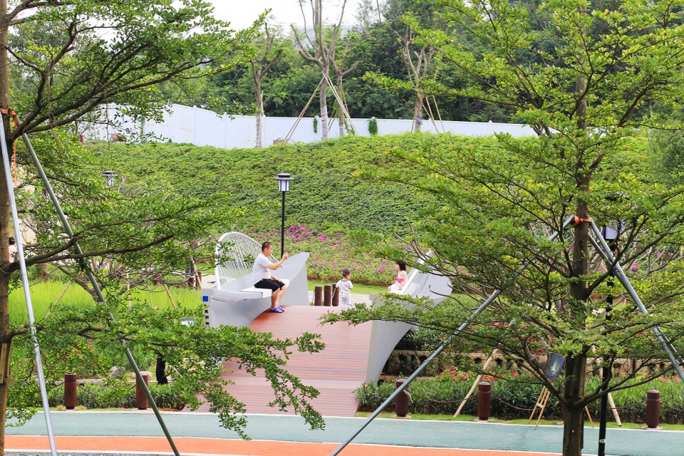 深圳禾塘湿地公园人行钢桥/中建钢构有限公司