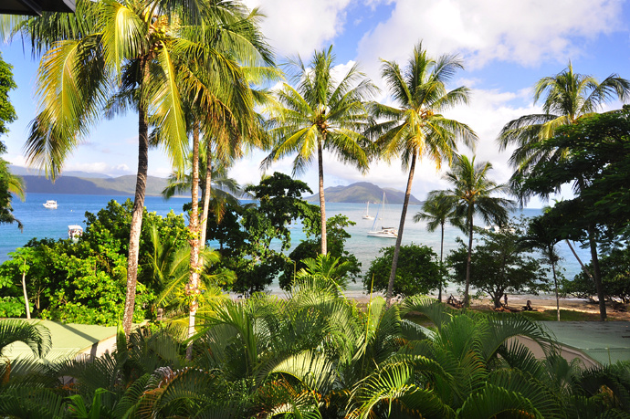 全民热遗｜大堡礁上有个翡翠岛，绝美好玩，还是海龟康复中心