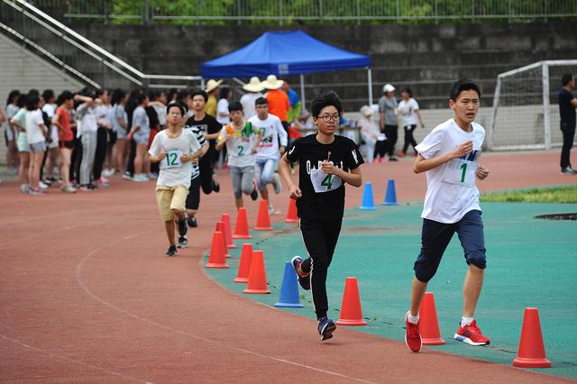语文教育的失败,当代语文教育有哪些误区