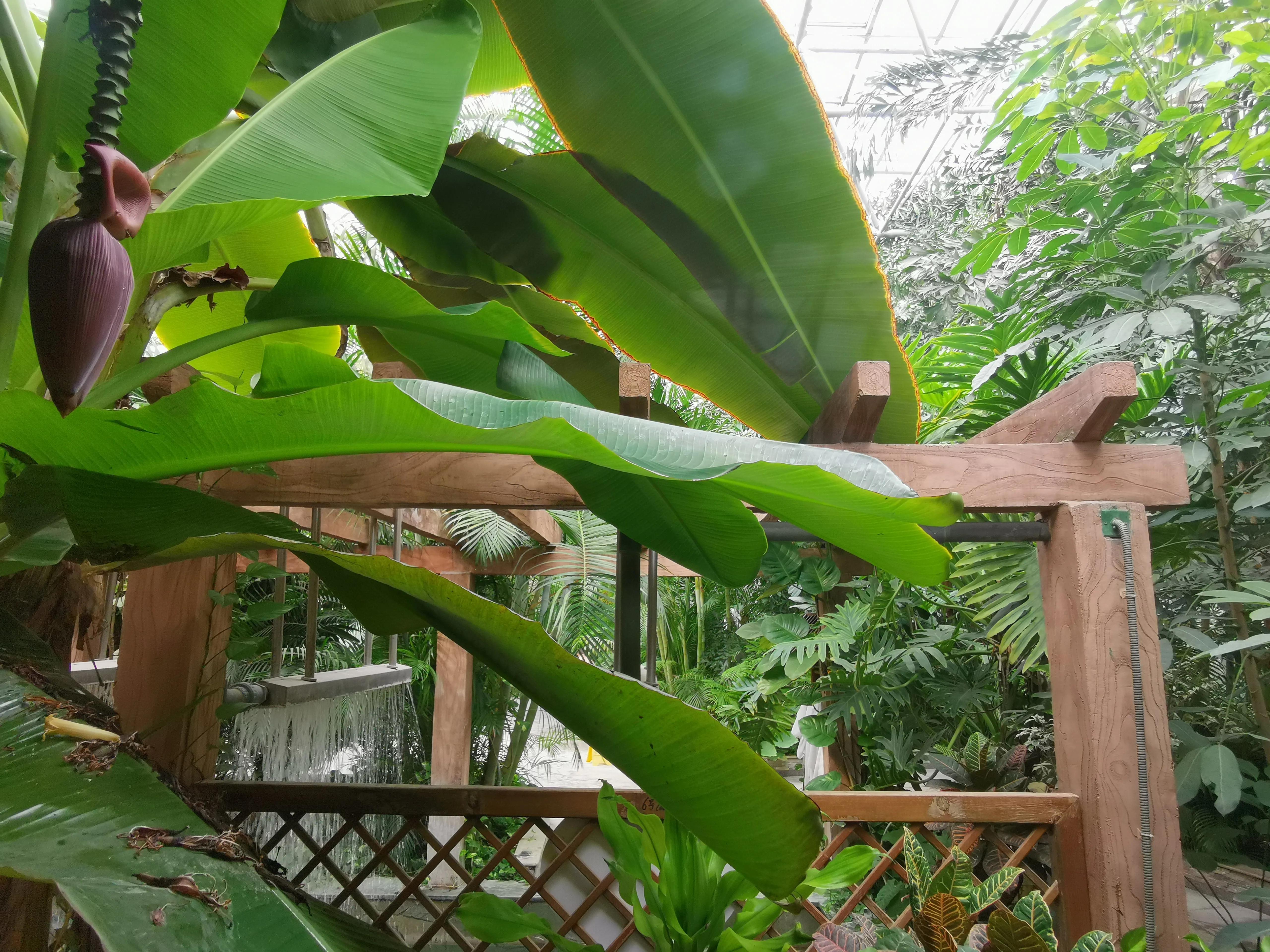 凤山温泉,北京金隅凤山温泉特色