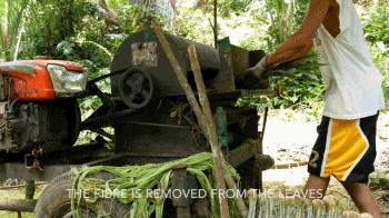 Gucci、HM都在用，一条用垃圾做的裙子，拯救了无数的小动物..