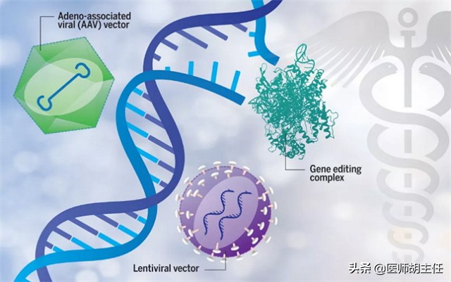 高同型半胱氨酸血症对人体的危害,同型半胱氨酸高易患什么病