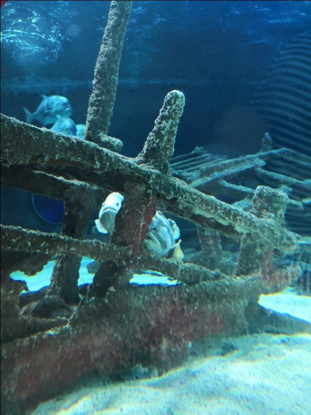 北京工体富国海底世界周一营业,北京工体富国海底世界旅馆