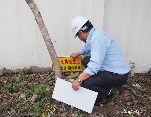 pco行业挣钱吗,pco是什么概念