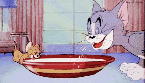 养猫就是抓老鼠吗,还有多少人养猫是为了抓老鼠的