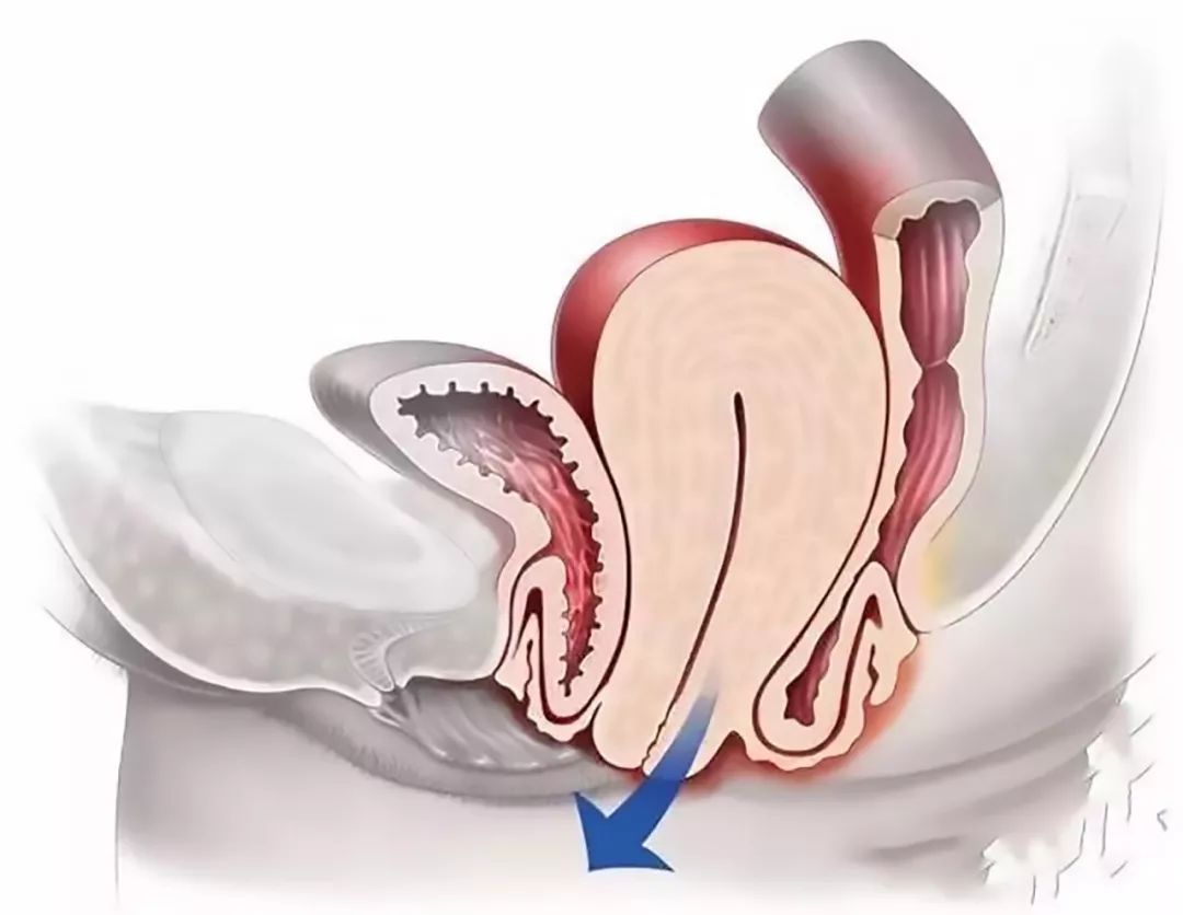市人民医院盆底康复,盆底康复中心科室简介