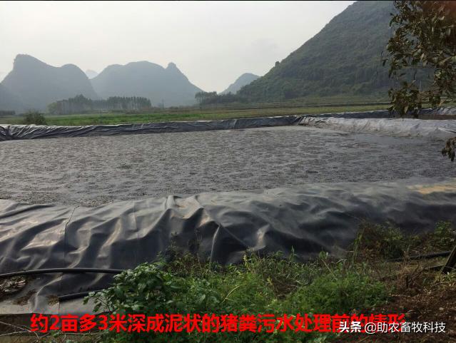 养殖废水浓缩处理方法,小型养殖场废水处理方案