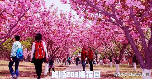 大连旅顺深度游,大连旅顺旅游必去景点排名