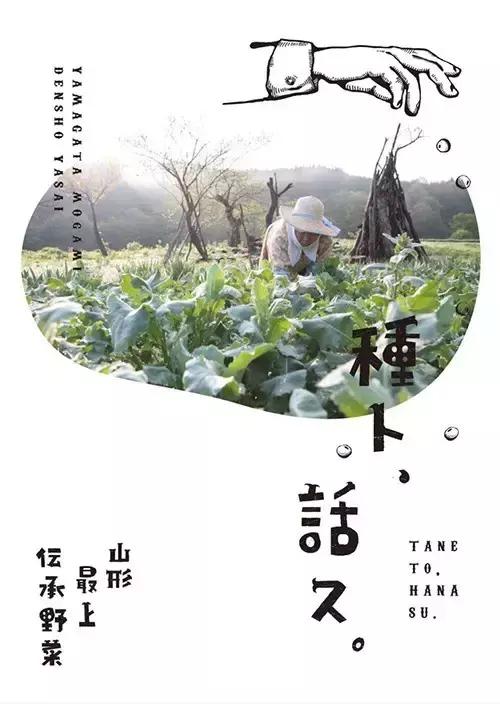 海报设计入门,海报设计从零开始教程