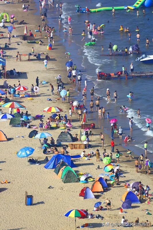 留在秦皇岛,秦皇岛为什么那么多人