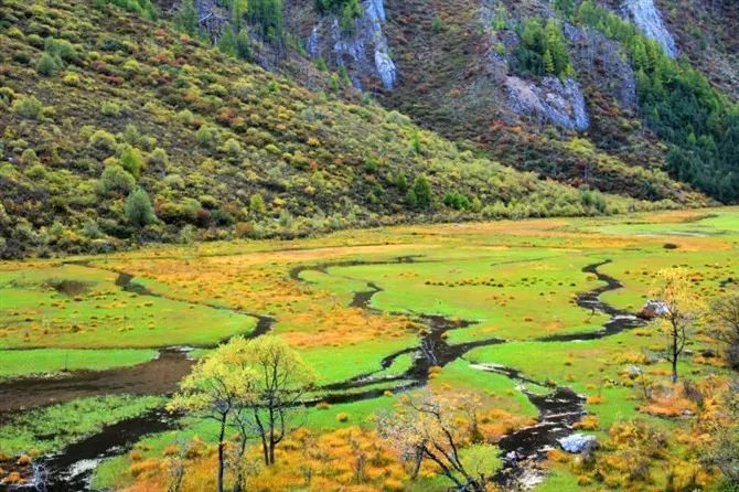 秋天最值得去的四个地方,秋天全部的风景