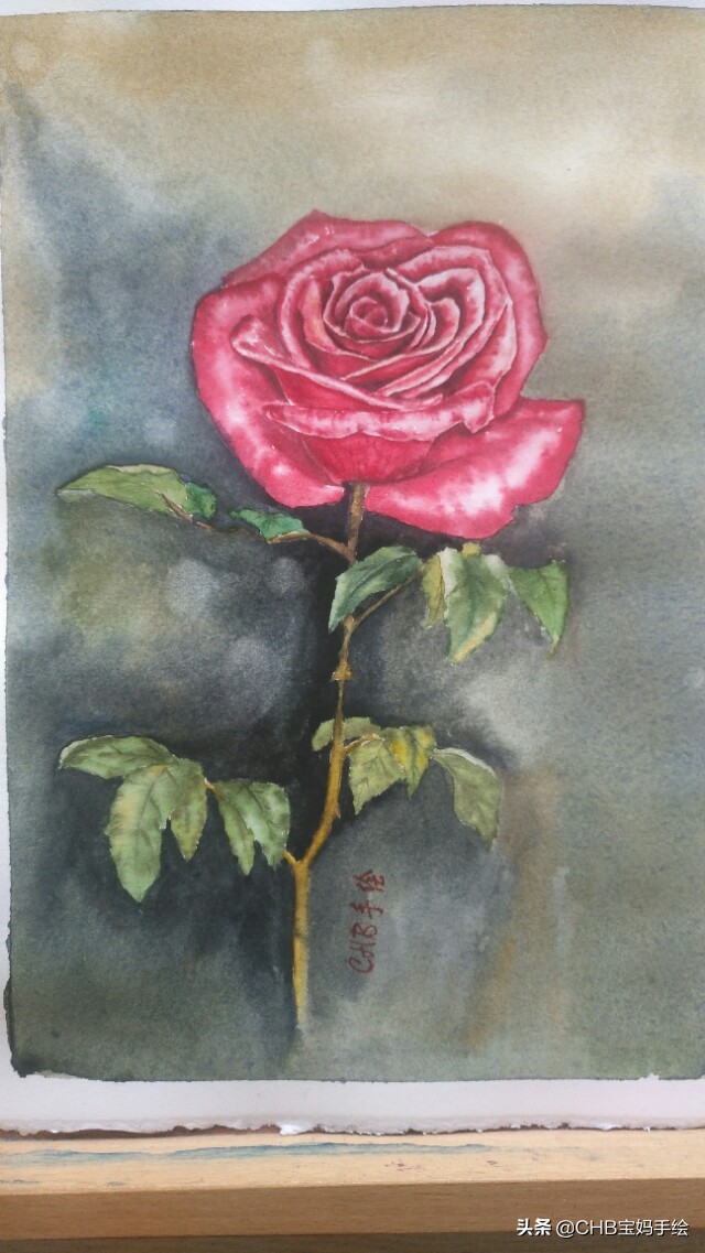 水彩画初学者零基础教程玫瑰花,水彩画教程入门玫瑰花慢教程