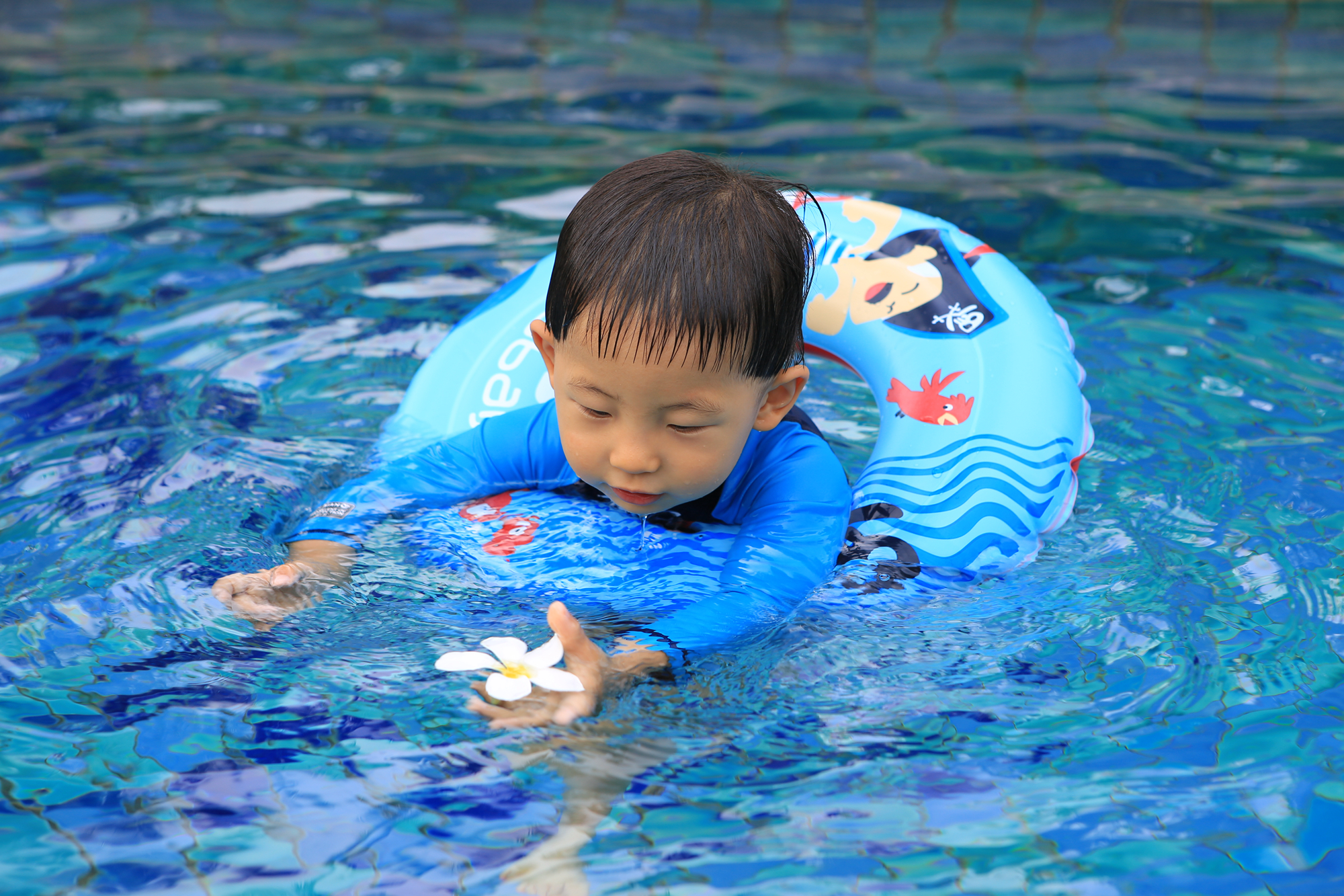 普吉岛三天旅游攻略,普吉岛怎么玩视频