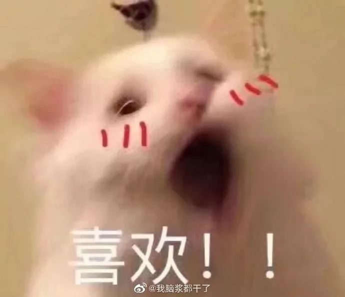 吐槽那些没用的沙雕手机壳 (什么手机壳最沙雕)