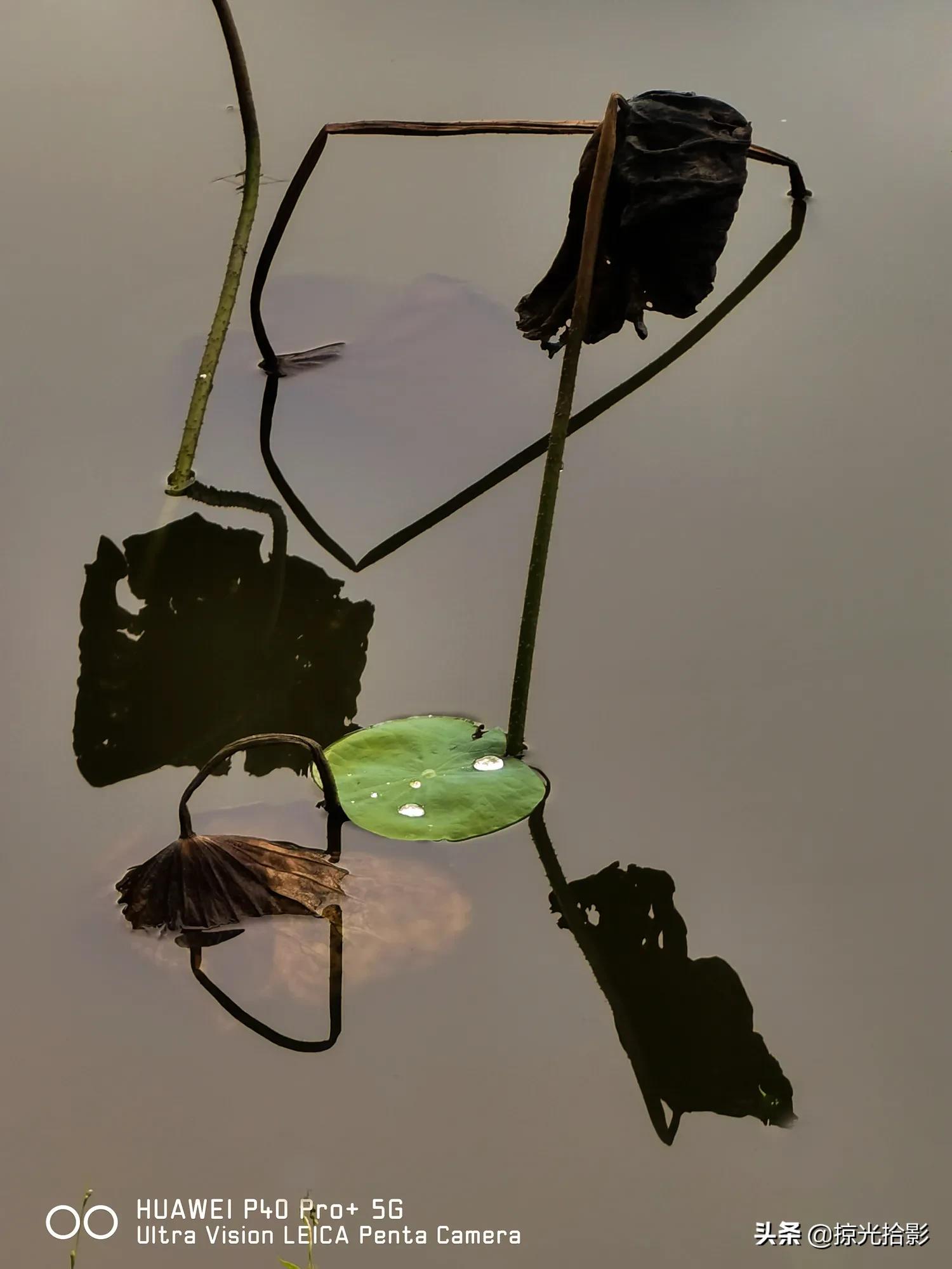 手机摄影为什么比相机酷,手机摄影与单反摄影