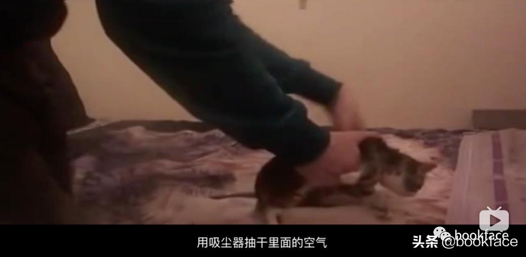 虐猫上瘾后，他预告杀人，从男模到杀人犯，自导自演一场恐怖大戏