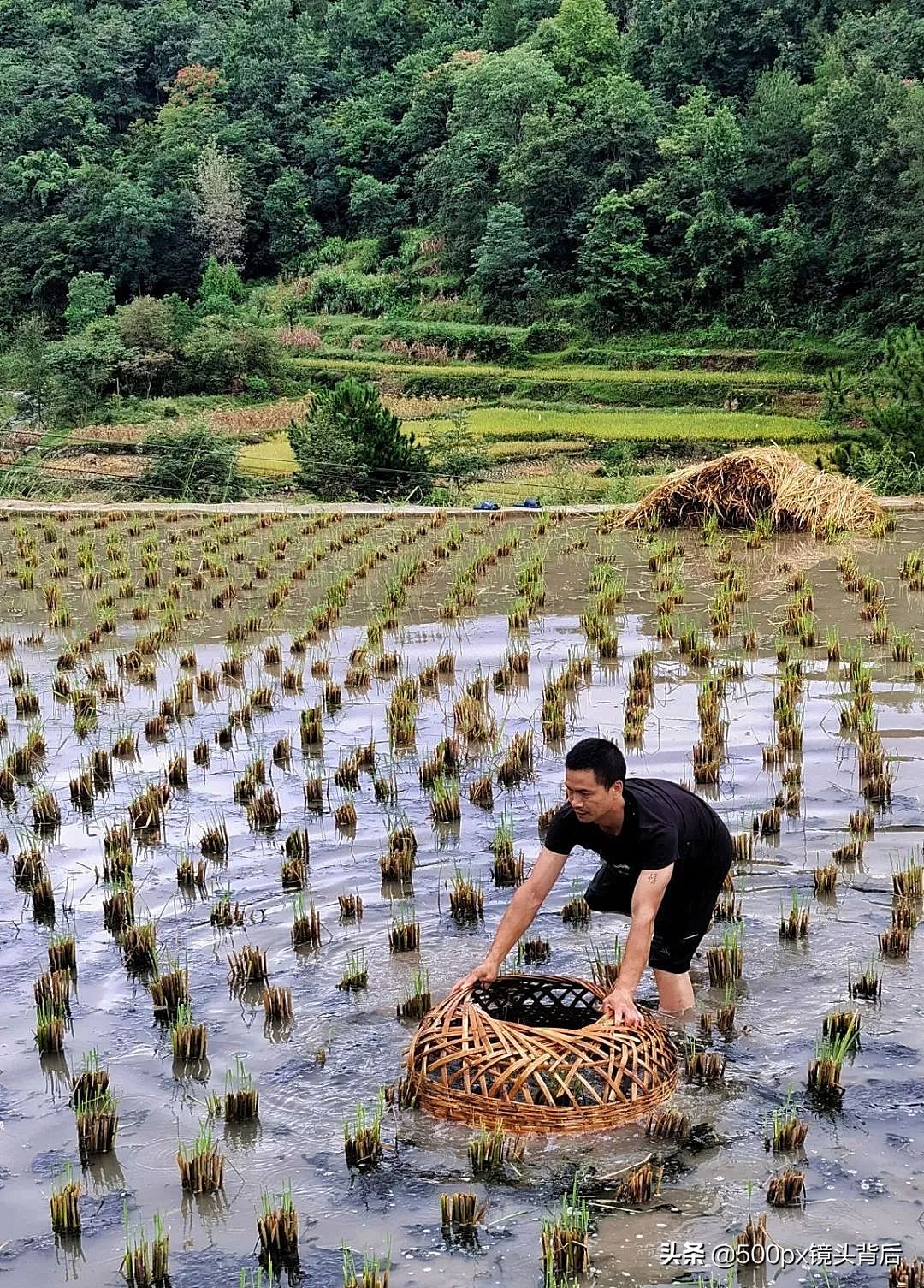 农村生活好环境好空气清新,农村乡村环境
