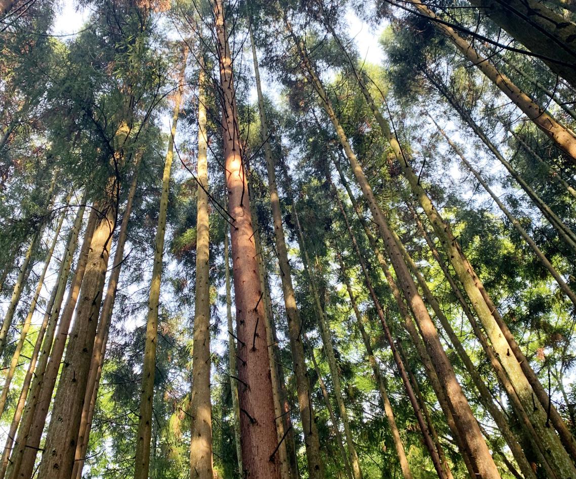 南川区经济发展规划,南川同城化