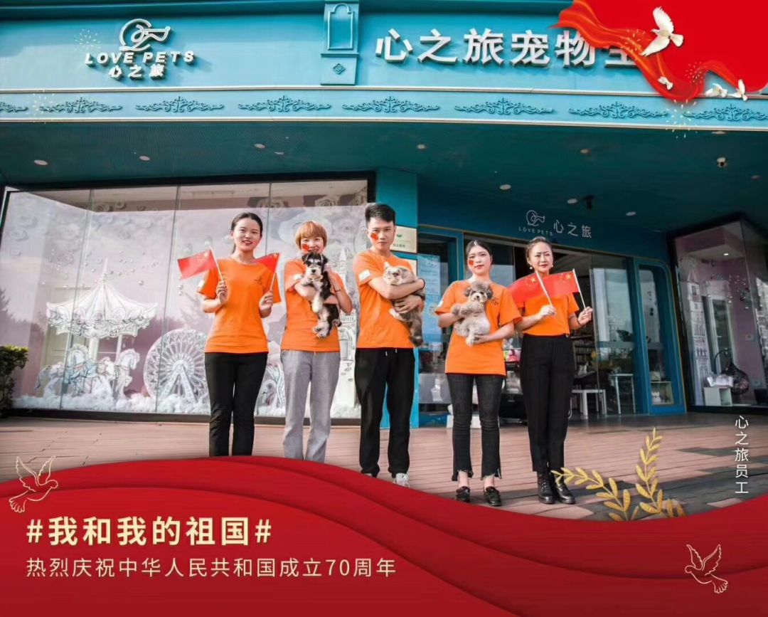 开宠物店成都哪里最好卖,成都最大宠物连锁店