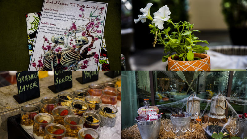 沙漠浪漫之旅迪拜,从天空进入海底