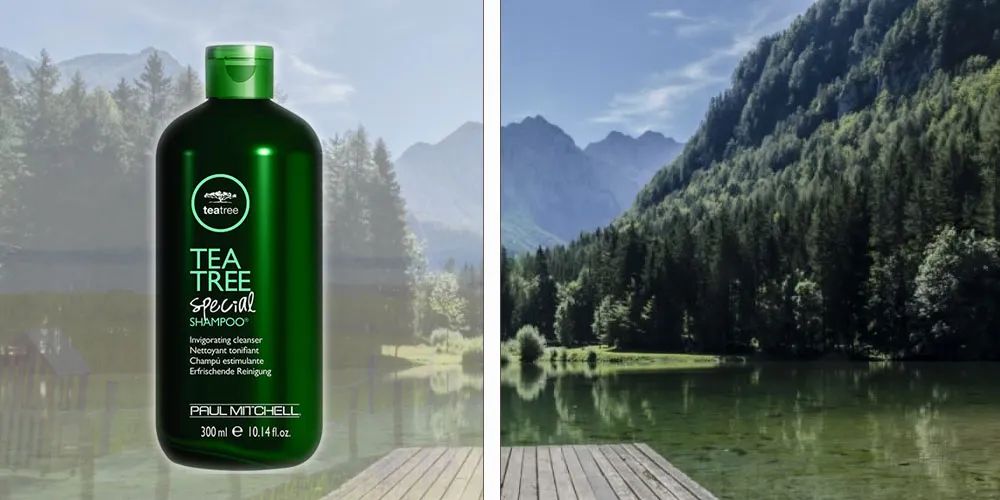 油头去屑控油止痒洗发水排行榜,超级大油头控油洗发水初中生