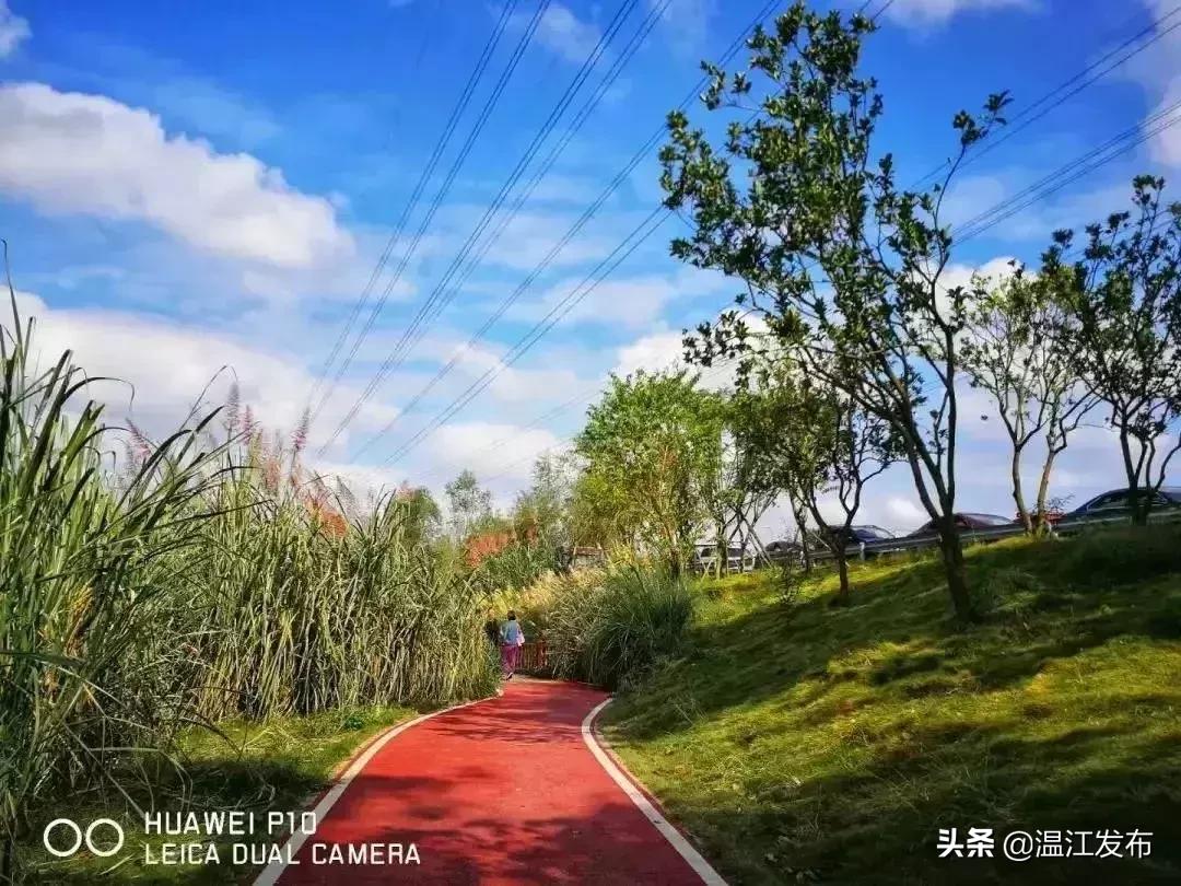 温江健身步道路径,温江健身最好的地方