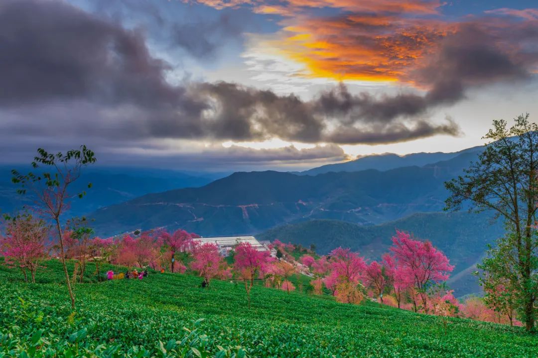 12月想要什么,12月的冬日暖阳岁月如此静好