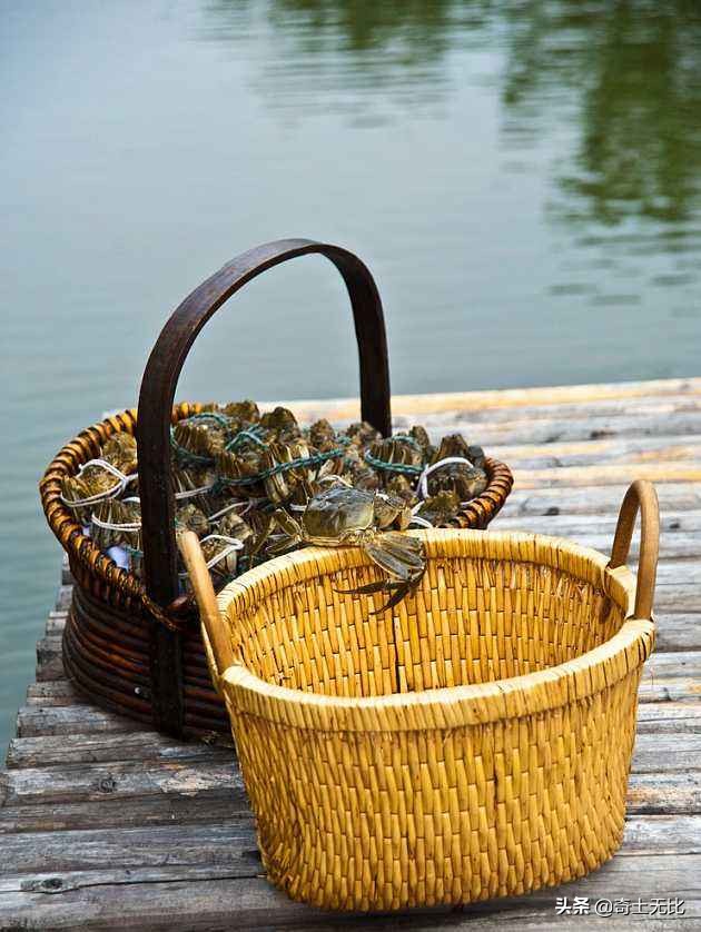 用手抓螃蟹的最佳秘诀,一秒钟学会抓螃蟹的方法