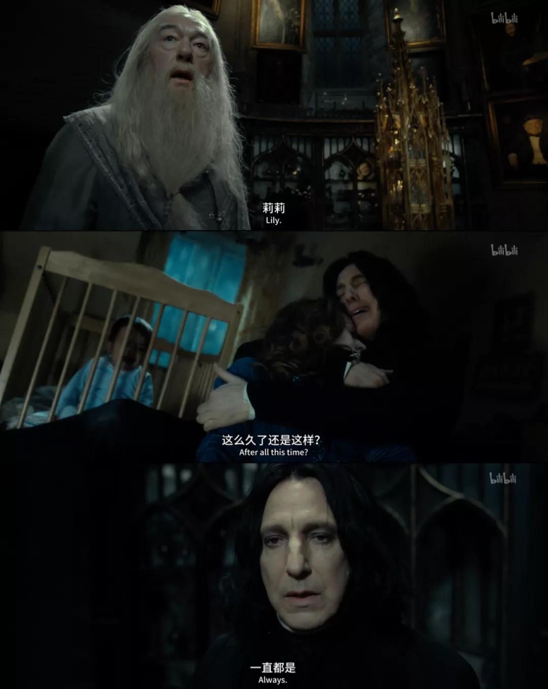 哈利波特的一生,哈利波特人物一生回忆录