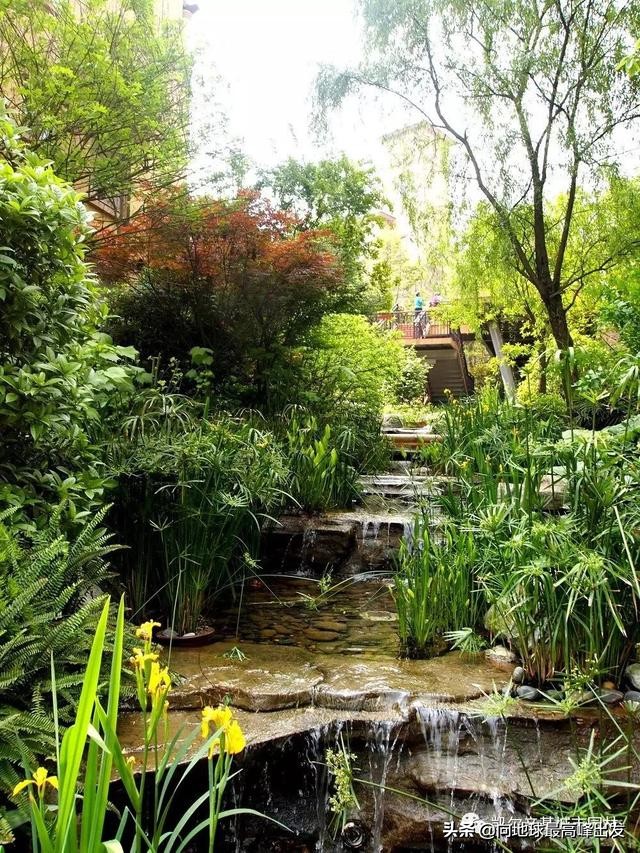 景观草花养护技术大全,景观树木种植技法分析
