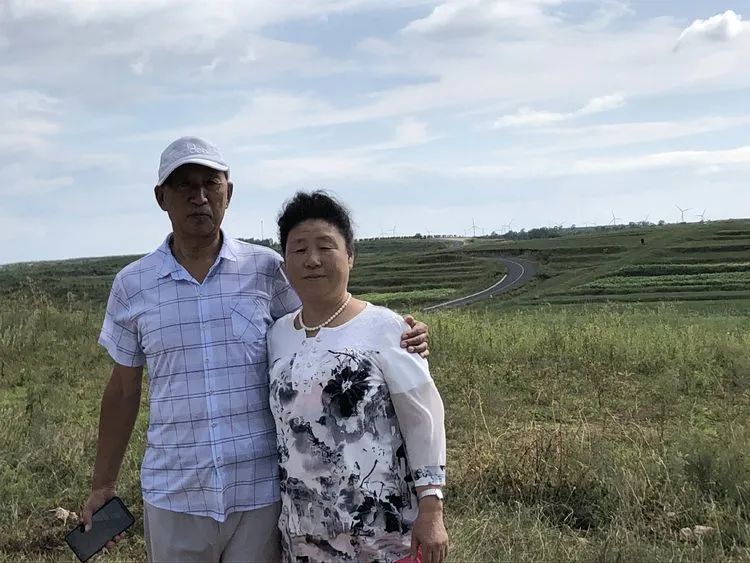 多肉植物一样的生机勃勃,多肉生活充满诗意