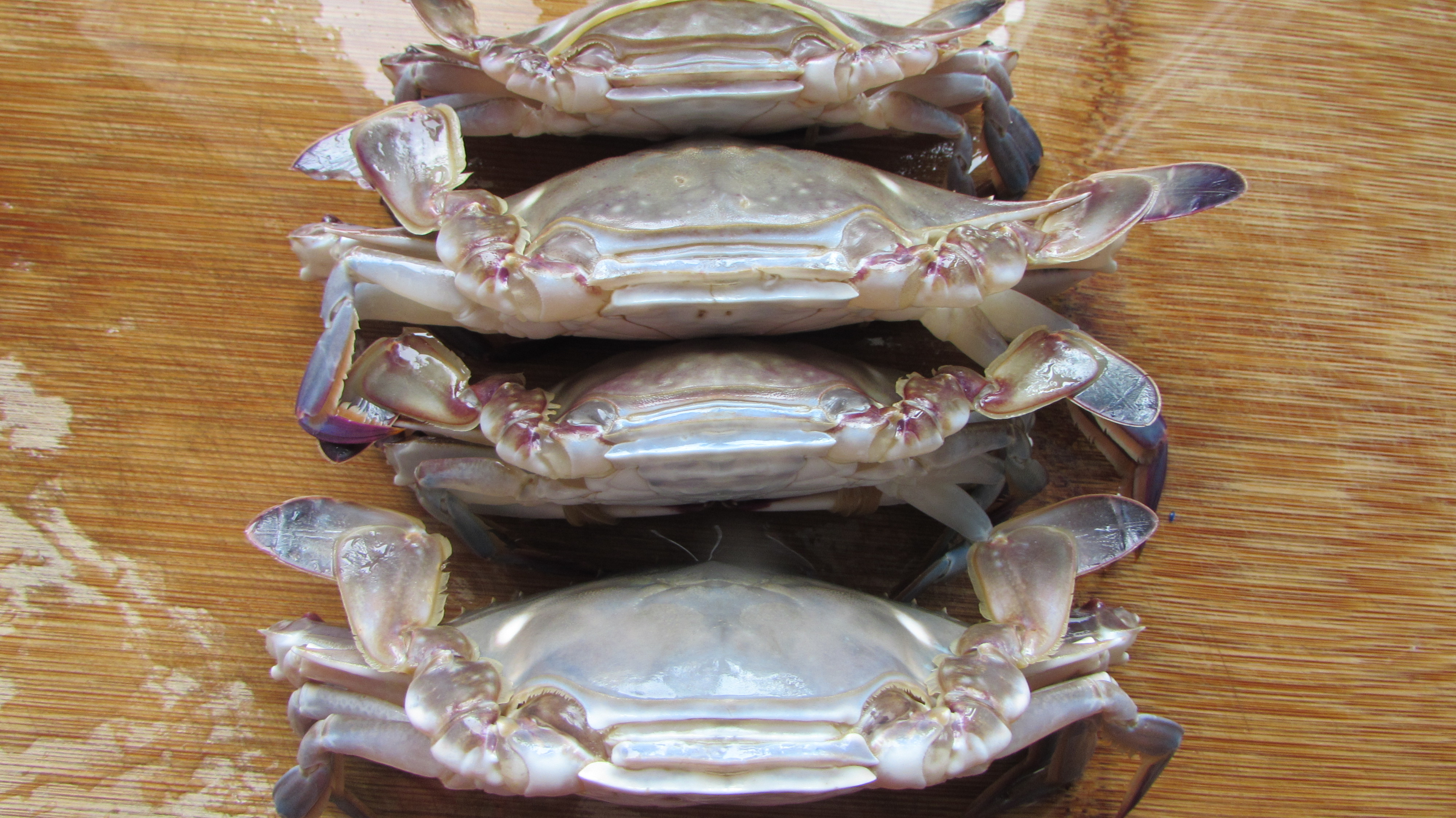 冷冻梭子蟹如何做盐蟹,怎么腌梭子蟹才好吃