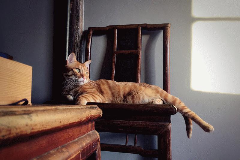 龢而不同|龢盒，因你不同