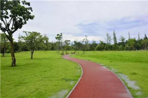 成都双流绿道,双流区绿道建设