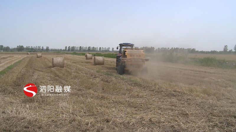 泗阳县农业产业,农业农村局秸秆综合利用实施方案