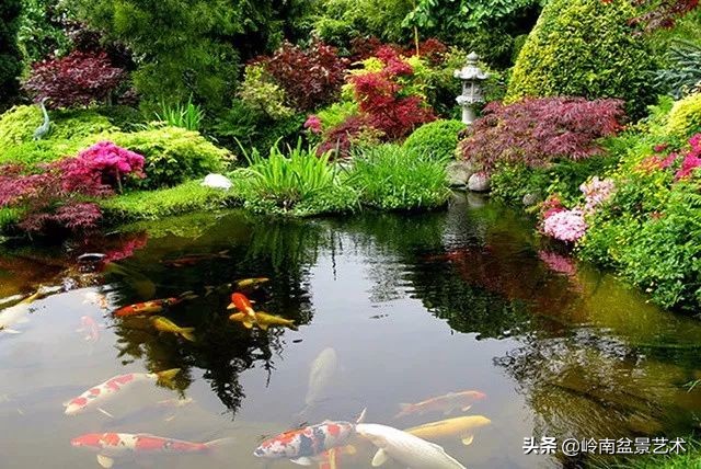 榆树盆景何时修剪最好,盆景怎样修剪最好看