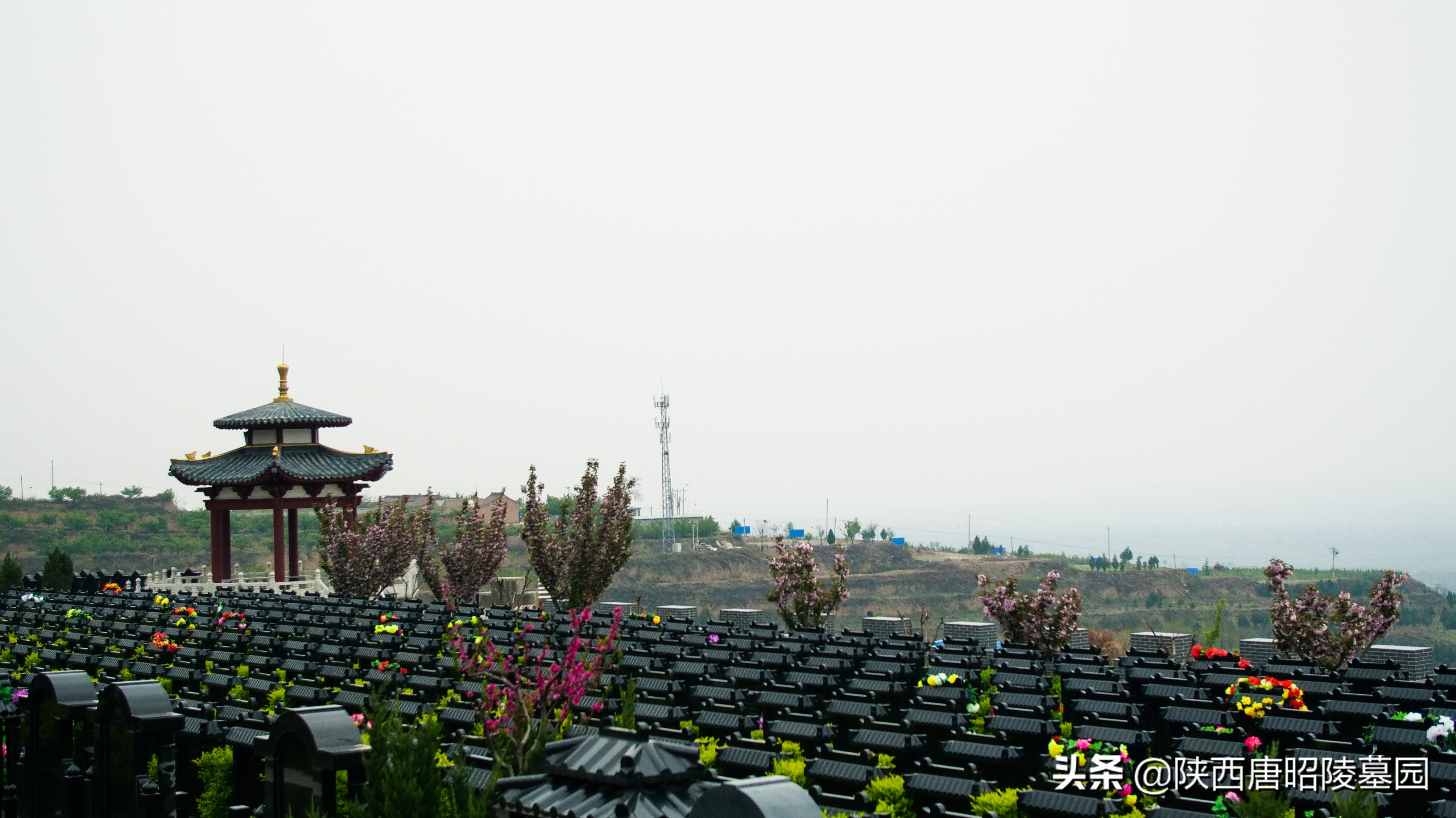 西安有哪些墓可以买,西安墓地如何办理退墓或迁墓手续