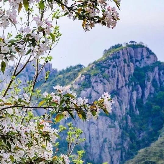 一念天堂一念地狱拜登,一念天堂一念地狱缘起缘灭
