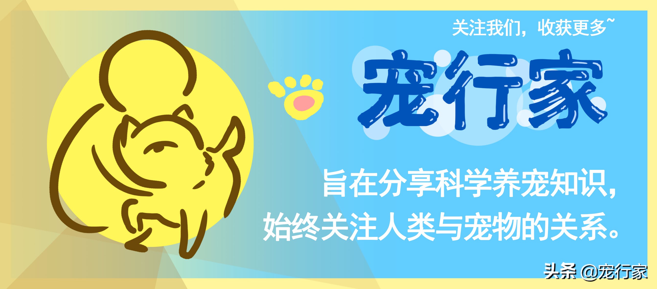 如何照顾耳聋的猫咪,如何照顾耳聋的猫