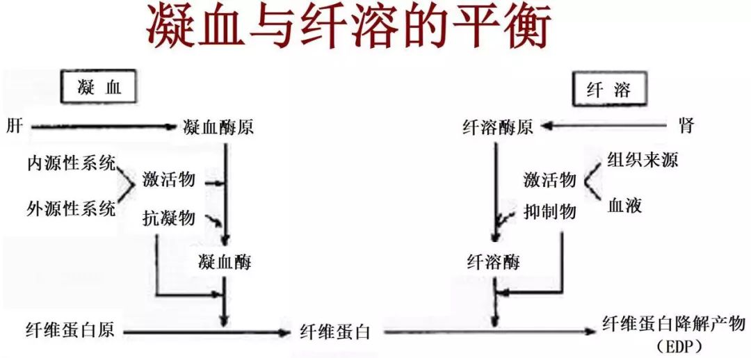 静脉血栓栓塞症发生的3个要素,静脉血栓十大抗凝误区
