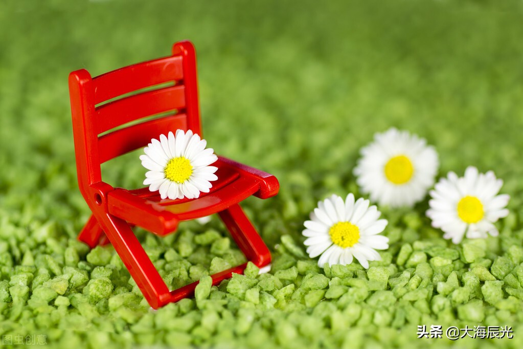 我想有个院子,我想拥有一个小院子